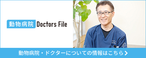 ドクターズ・ファイル記事