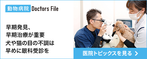 ドクターズ・ファイル トピックス記事
